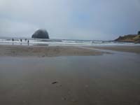 65-beach_scenery_waiting_for_Daddy_to_drive_4Runner_on_the_beach