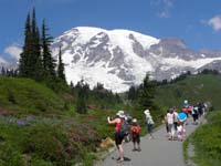 20-Mommy_and_Kenny_enjoy_the_wildflowers_and_Mount_Rainier