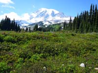 38-Mount_Rainier_and_scenery