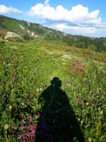 47-Mommy's_shadow_and_wildflowers