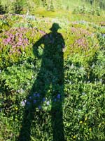 48-Mommy's_shadow_and_wildflowers