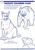 68-Mount_Rainier_NP_Junior_Ranger_program08