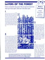 73-Mount_Rainier_NP_Junior_Ranger_program13