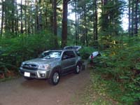 03-our_campsite-Mommy_backed_into_that_stump