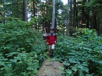 09-campsite_fun-walking_on_trees