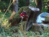 10-campsite_fun-climbing_trees