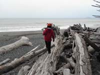 17-lots_of_trees_for_Kenny_to_climb