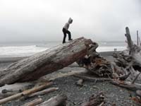 23-that_evening_Kenny_wanted_to_go_back_to_climb_on_the_trees