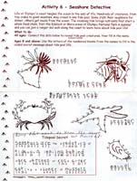 35-Olympic_NP_Junior_Ranger_program08