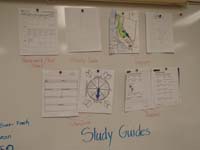 20-more_study_guide_information_sent_home_each_week_for_test_at_the_end_of_the_week