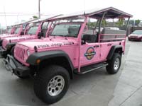 02-an_actual_pink_Jeep