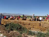 38-time_to_play_on_the_hay_block_maze