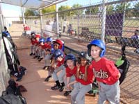 06-team_on_bench_ready_to_bat