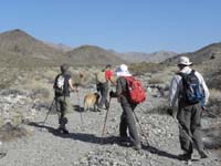 37-Poppy,Baba,Robin,Tiki_and_Greg_heading_up_wash-Hwy_93_a_mile_away_in_distance