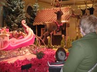 12-Kenny_and_Mommy_admiring_the_displays_at_the_Bellagio_Conservatory