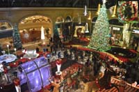 16-Bellagio_Conservatory_webcam-Mommy_posted_picture_on_Facebook