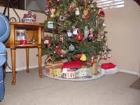 30-let_Rocky_wander_while_cleaning_cage-turtle_found_safety_under_Christmas_tree_via_left_opening
