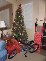 01-lots_of_presents_by_Christmas_tree-although,we'll_enjoy_it_outside_since_sick