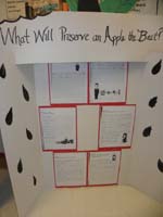 28-'What_Will_Preserve_an_Apple_the_Best'_display