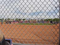 06-lots_of_baseball_players