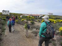 023-walking_to_the_only_buildings_on_the_island