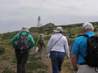 030-taking_a_walk_to_the_lighthouse
