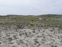 036-the_campground-not_impressive_at_all