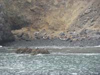 076-took_a_short_trip_to_other_side_of_island-lots_of_sea_lions_hanging_out