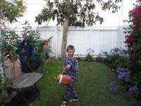 63-hunting_for_Easter_eggs