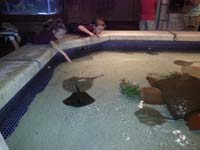 44-Chloe_and_Kenny_at_Mandalay_Bay's_Shark_Reef-tax_day_free_tickets