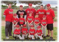 44-professional_team_pictures