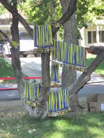 10-medal_tree-Mommy_wanted_a_picture_of_them