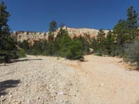 39-scenery_in_canyon_from_in_a_wash