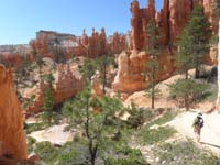 42-hiking_further_along_trail-new_territory_for_him-longer_hike_though