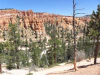 48-Kenny_on_trail-Navajo_Loop_benchmark_area_ahead-we'll_take_trail_to_left