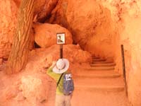 53-hmmm-we'll_be_careful_watching_for_falling_rocks