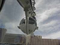 07-look_at_all_the_pods_above_us
