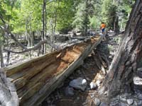 02-kids_found_a_log_to_play_on-this_is_where_we_went_over_to_the_wash