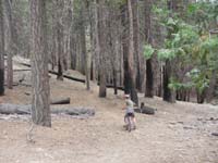 06-we_continue_to_left_down_trail_around_employee_homes