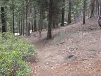 07-trail_actually_lead_to_road_leading_to_homes
