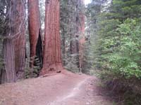 09-Mommy's_pictures_on_her_trail_run