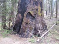 11-Mommy's_pictures_on_her_trail_run