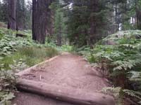 12-Mommy's_pictures_on_her_trail_run