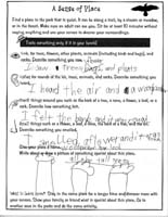33-Junior_Ranger_Program-Sequoia_and_Kings_Canyon_NP-09