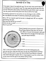 43-Junior_Ranger_Program-Sequoia_and_Kings_Canyon_NP-19