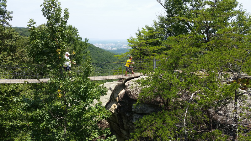 068-Rock_City_suspension_bridge