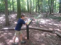 103-working_on_the_program_using_his_senses_while_walking_along_a_nature_trail