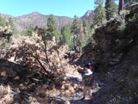 02-navigate_the_washout,then_follow_usage_trail,climbing_some_rocks