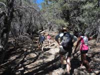 07-Kenny,Emersan,Emma,Mommy,Faye_and_Daddy_take_the_lead