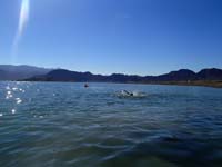 06-Kenny_swimming_in_Lake_Mead-first_time-practice_for_triathalon_in_two_weeks
